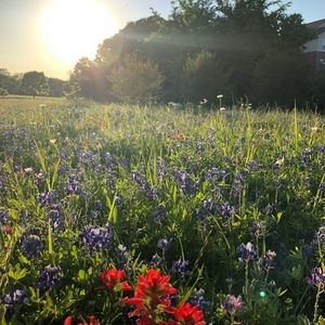 Meet your Posher, Leti